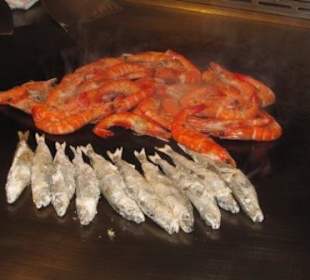 Meerestier zweierlei Art