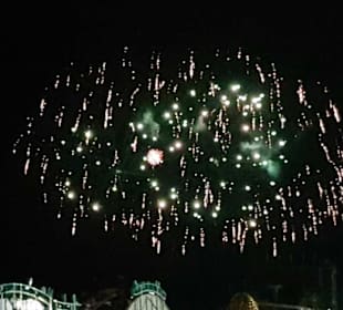 Das Eröffnungsfeuerwerk. Feuerregen