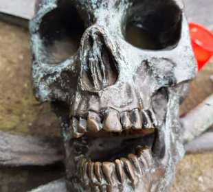 Mit beweglichen Kiefer