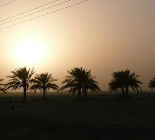 Sonnenuntergang in der Wüste