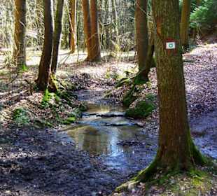 Wanderung zum Wasserfall