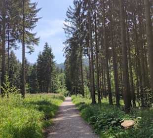 Wanderweg zum Laudachsee