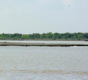 Am Ende von Bibione Yachthafengebiet