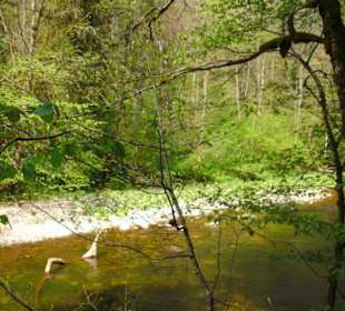 Sonnige Lichtreflexe