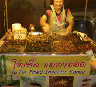 Geröstete Insekten
