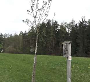 Lehrpfad Bäume des Jahres