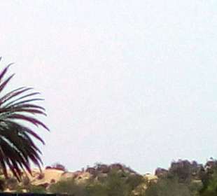 Parque Tony Gallardo in Maspalomas