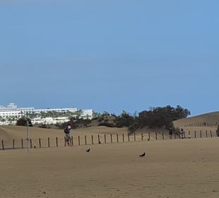 Dünen von Maspalomas