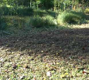 Botanischer Garten
