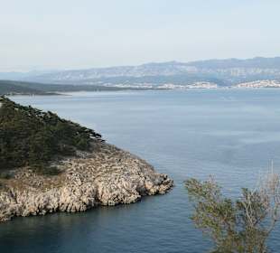 Bei einer Wanderung oberhalb der Küste bei Vrbnik