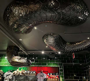 Harry Potter New York Store