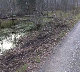 Schönbuch Schaichtal