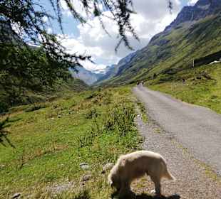 Wandern Galtür