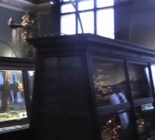 Naturhistorisches Museum