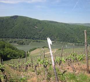 Impressionen Kräuterweg in Assmannshausen