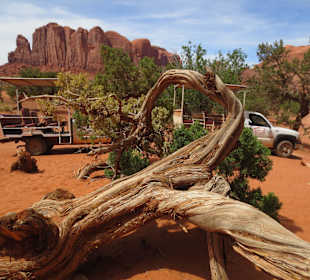 Hier war das Picknick