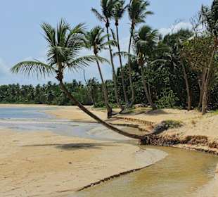 Strand Richtung El Limon