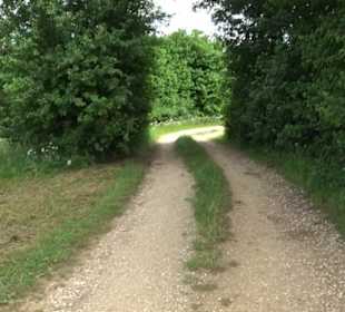 Premiumwanderweg "hochgehackert"