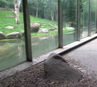 Tierpark Hellabrunn - Polarwelt