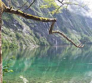 Obersee