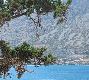 Strand Stalis