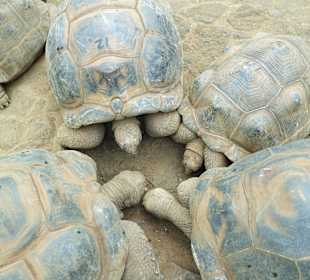 Geführte Touren Andrea Rodrige