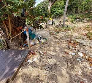 Ao Sane  Feb. / März 2023