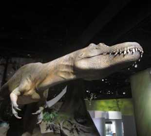 Rekonstruktion: Echsenbeckensaurier