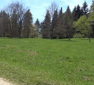 Arboretum