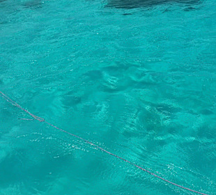 Privater Schnorchelausflug