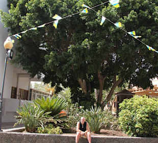 Ein "kleiner" Lebensbaum