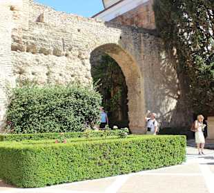 Алькасар в Севильи_1