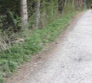 Wanderweg Firstwaldrunde