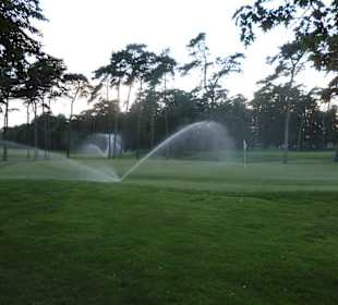 Die Sprenger gehen pausenlos