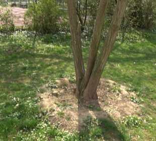 Bürgerpark Herrschaftsgärten