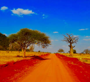 Tsavo East