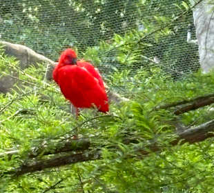 Zoo Leipzig