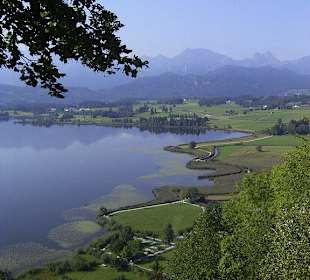 Blick von der Burgruine über Hopfen