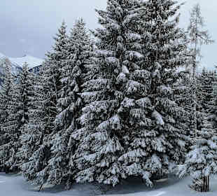Wandern Bad Hofgastein