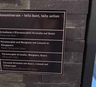 Museum für Naturkunde