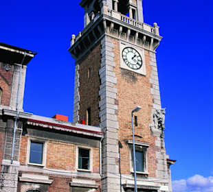 Akwarium Morskie Triest