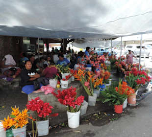 Auf dem Markt von Suva