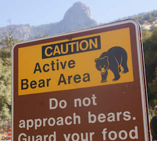 Vorsicht vor den Bären