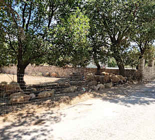 Wandern Georgioupolis