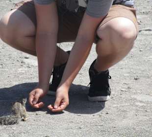 Stadtrundgang Jandia / Playa de Jandia