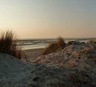 Dünenlandschaft auf Langeoog