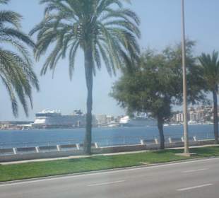Sparziergang in Palma Hafen