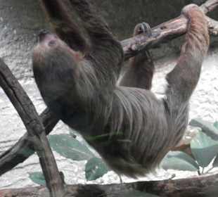 ZOO Jihlava