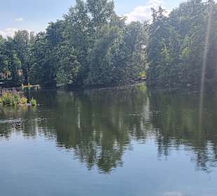 Überblick