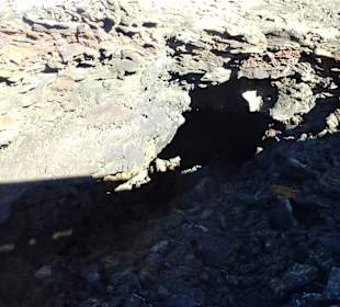 Nationalpark Timanfaya (Feuerberge) in Yaiza